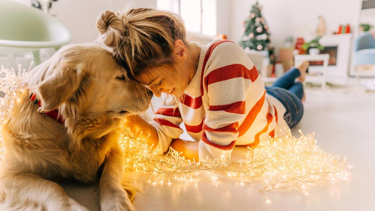 Blond young woman in striped sweater laying on the floor with her yellow lab dog tangled in Christmas lights