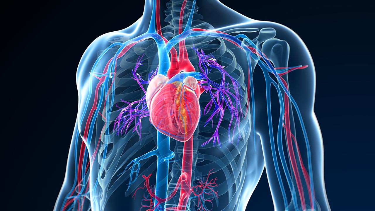 vascular care