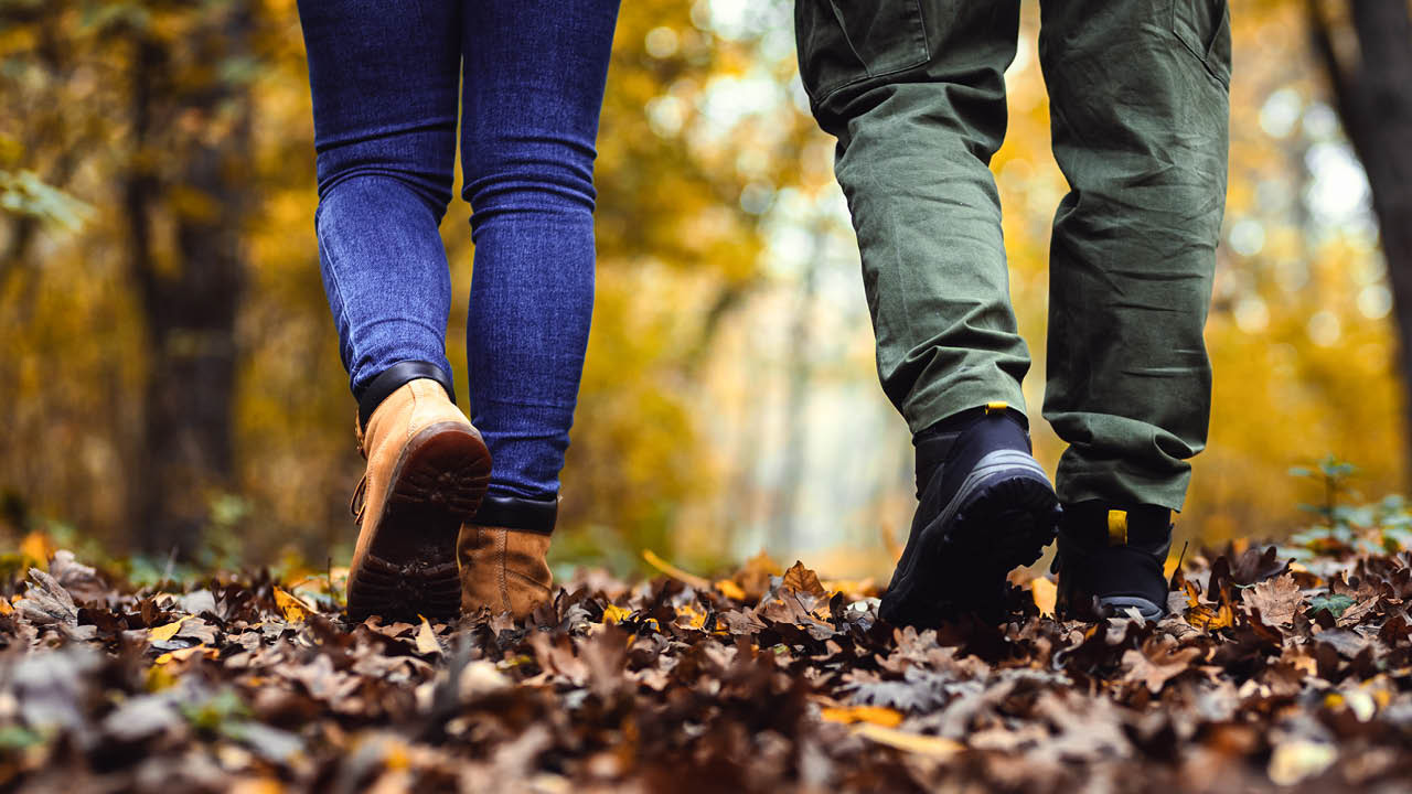Two people walking in a woods