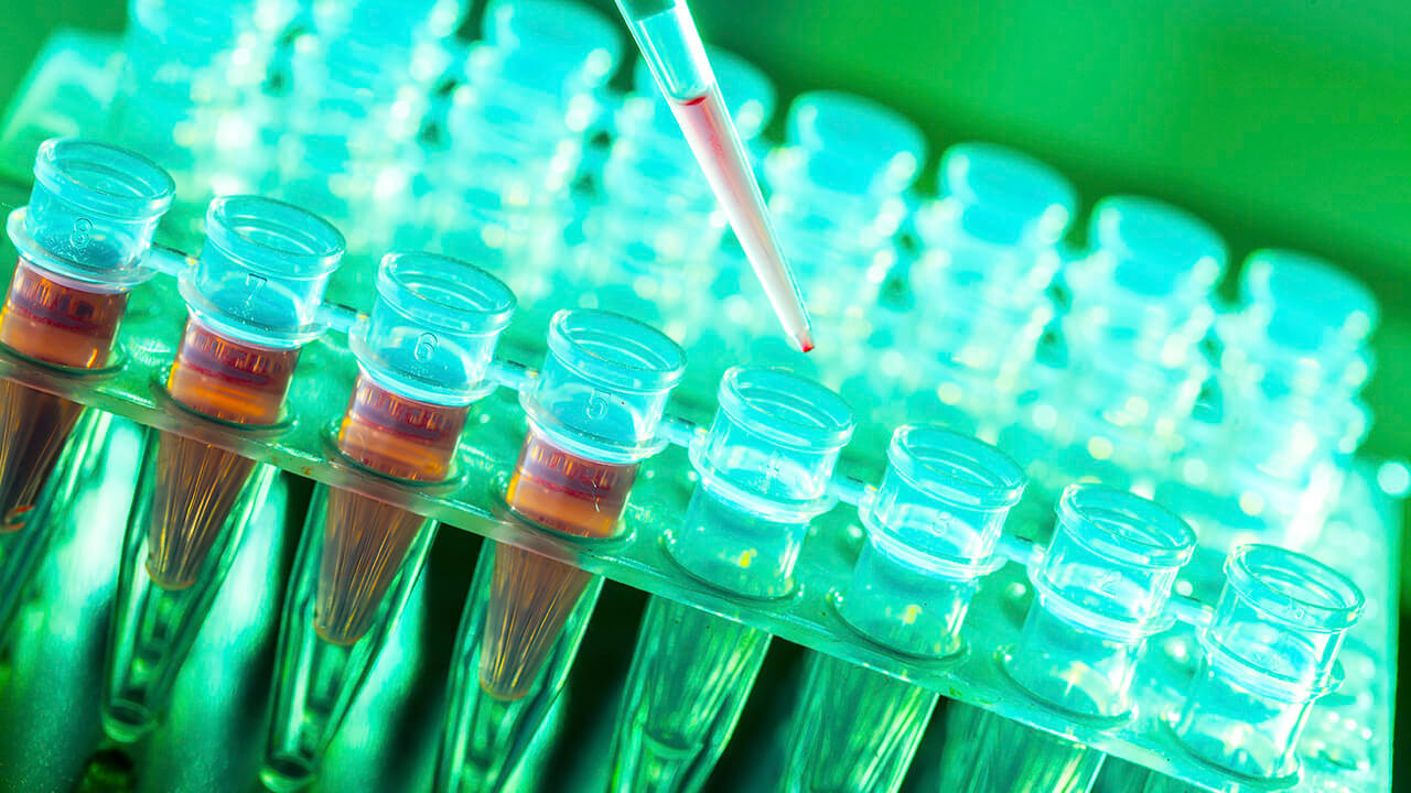 beakers with samples